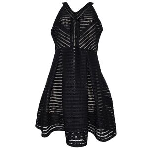 Wild Cat A-Line Lace Overlay Sleeveless Dress